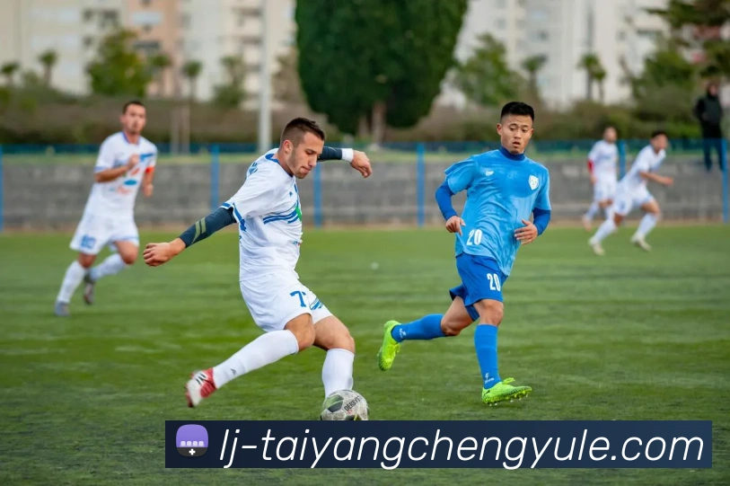 多媒体互动体验